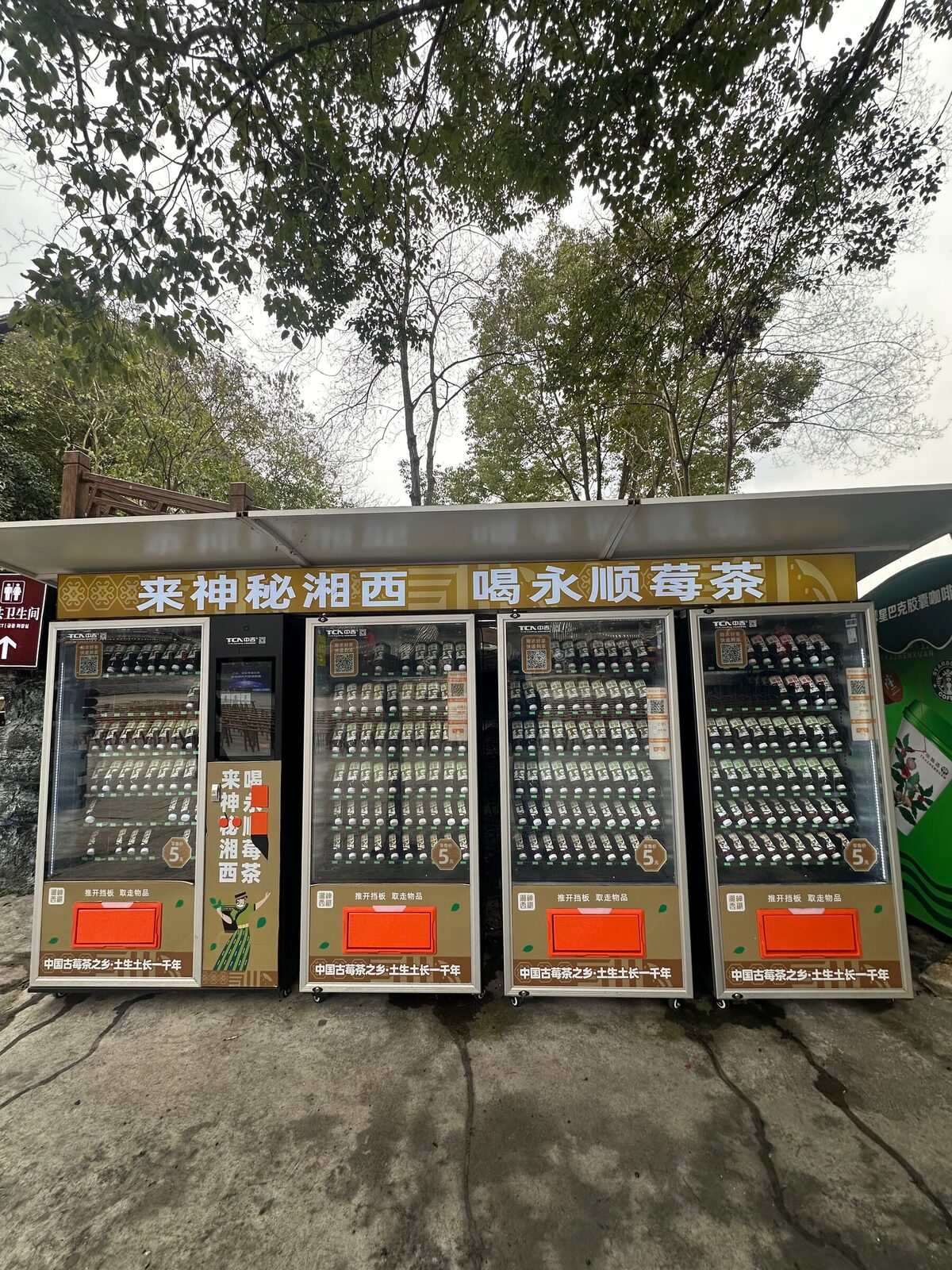 Fyra varuautomater i rad under ett enkelt plåttak vid en gångväg i Xiangxi, omgivna av träd. Över maskinerna sitter en gul skylt på kinesiska som gör reklam för lokalt bärte, och samtliga fack innehåller samma flaskade tesort.