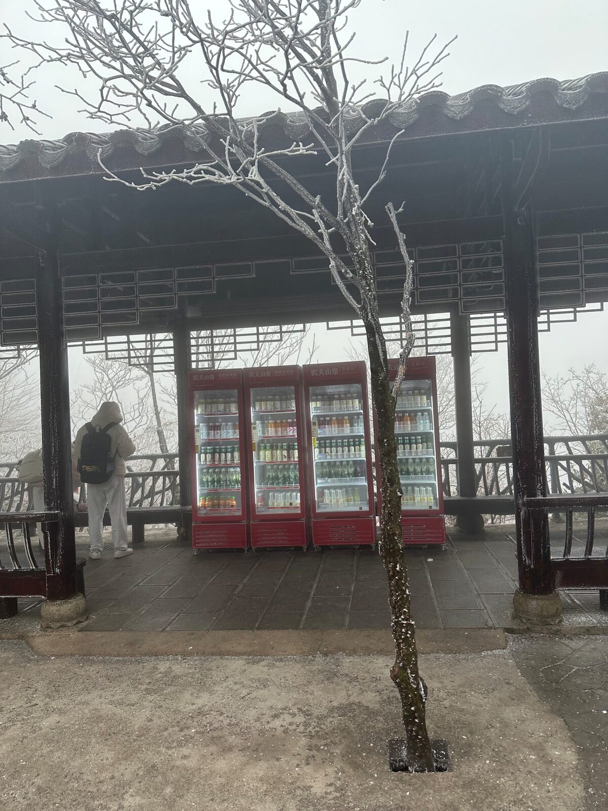 Fyra kylda varuautomater med glasdörrar står under ett traditionellt kinesiskt regnskydd på en utsiktsplats i Zhangjiajie nationalpark. Automaterna är fyllda med flaskor och lyser upp i dimman, frost täcker trädgrenarna i förgrunden och en ensam besökare i ljus jacka står vid räcket till vänster.